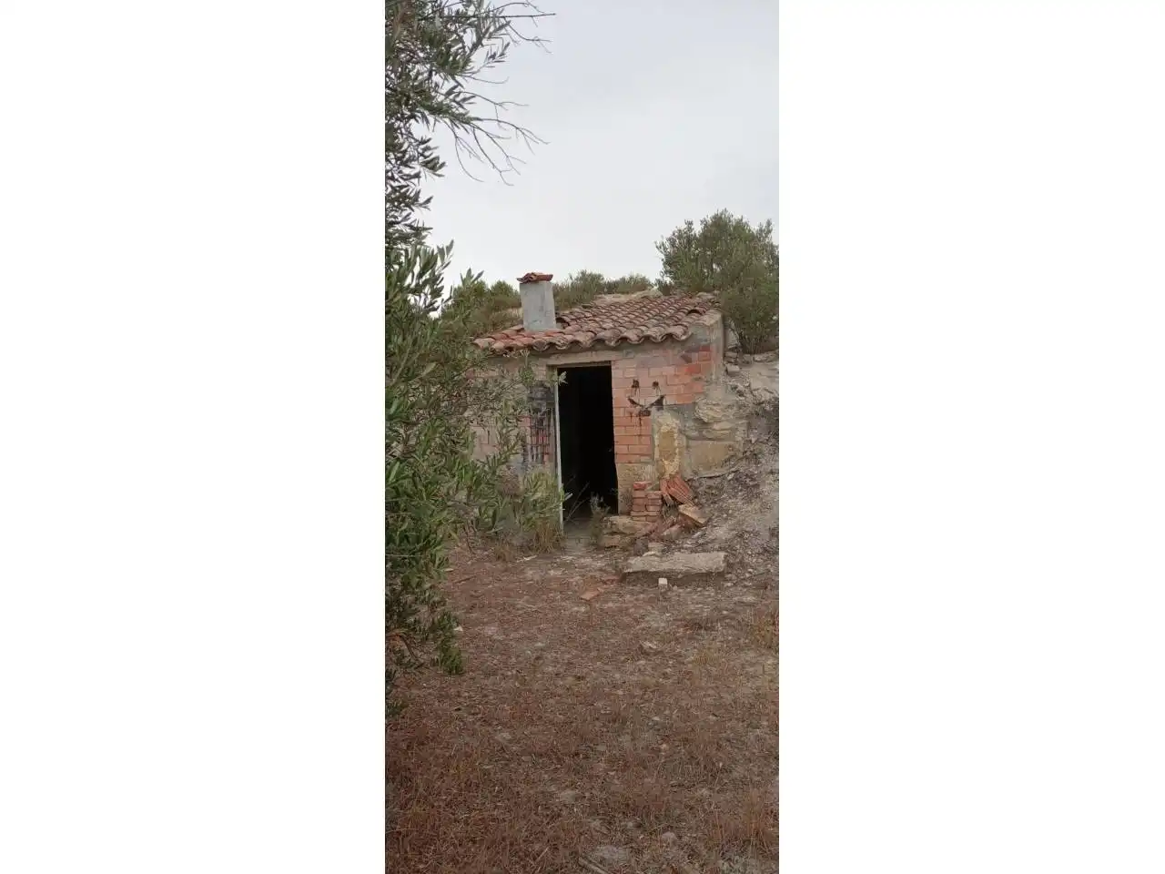 Terreny rústic en venda a Calle PARTIDA LA BASSETA DEL BISSELL, imagen 10