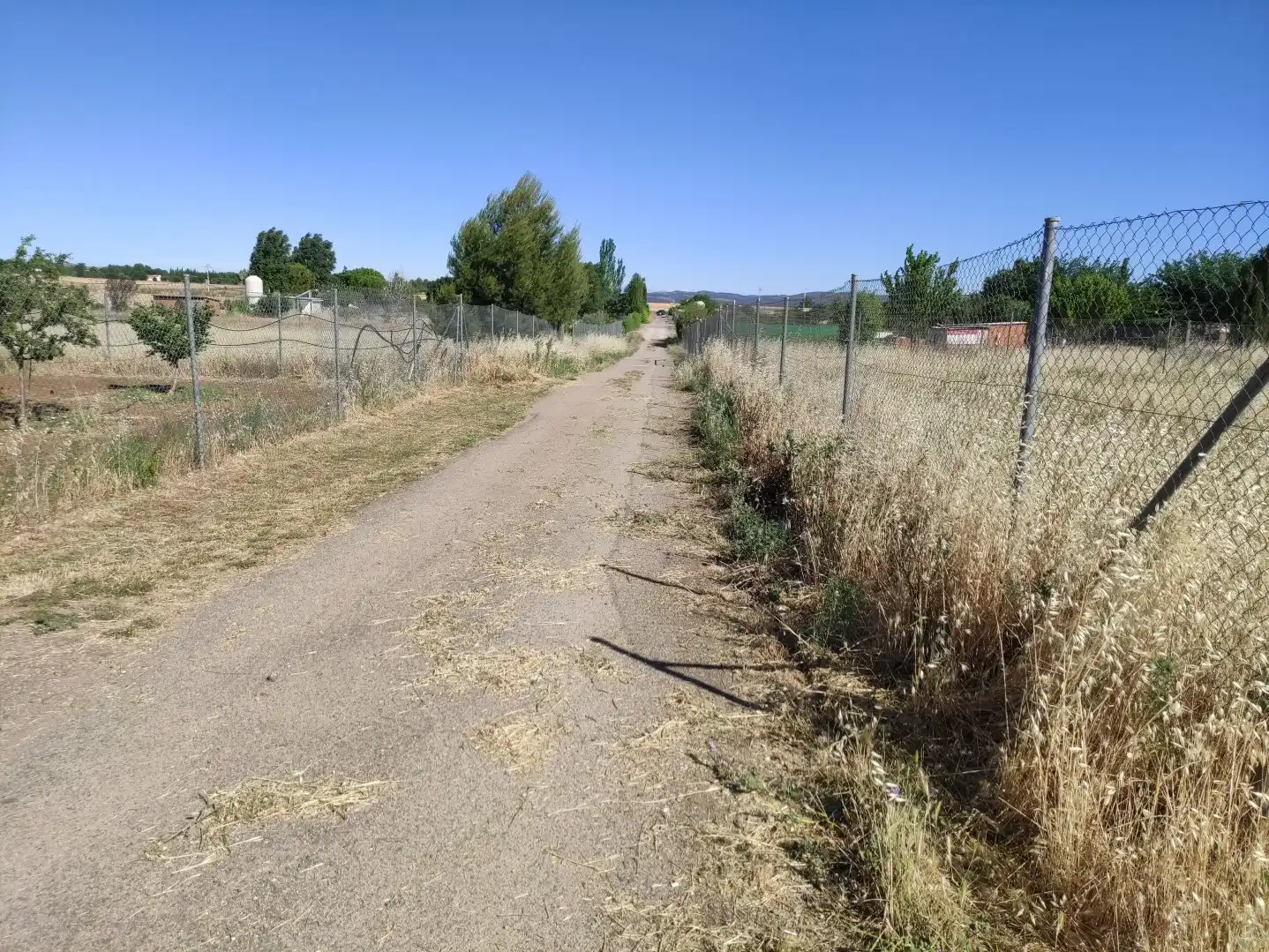 Terreni e lotti in vendita a Área Rural-Valverde-Las Casas, imagen 6