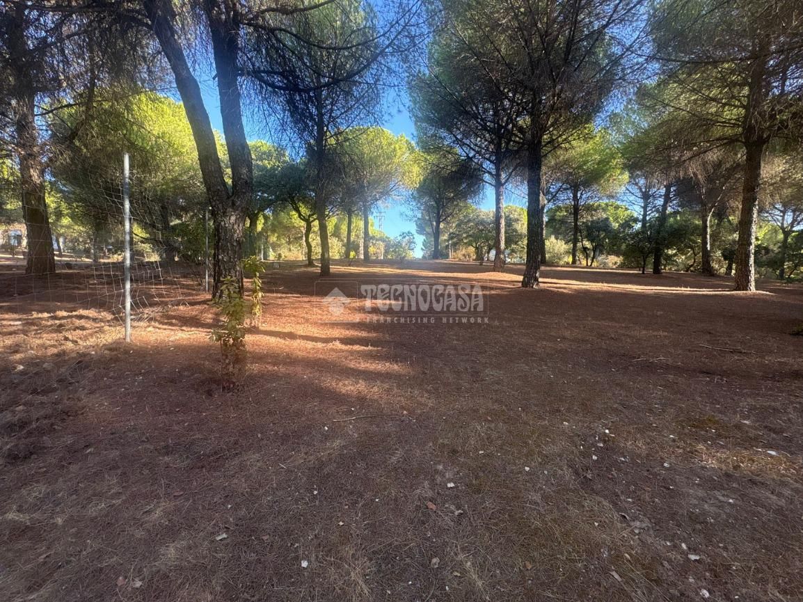 Finca rústica en venda en Andújar amb Jardí privat