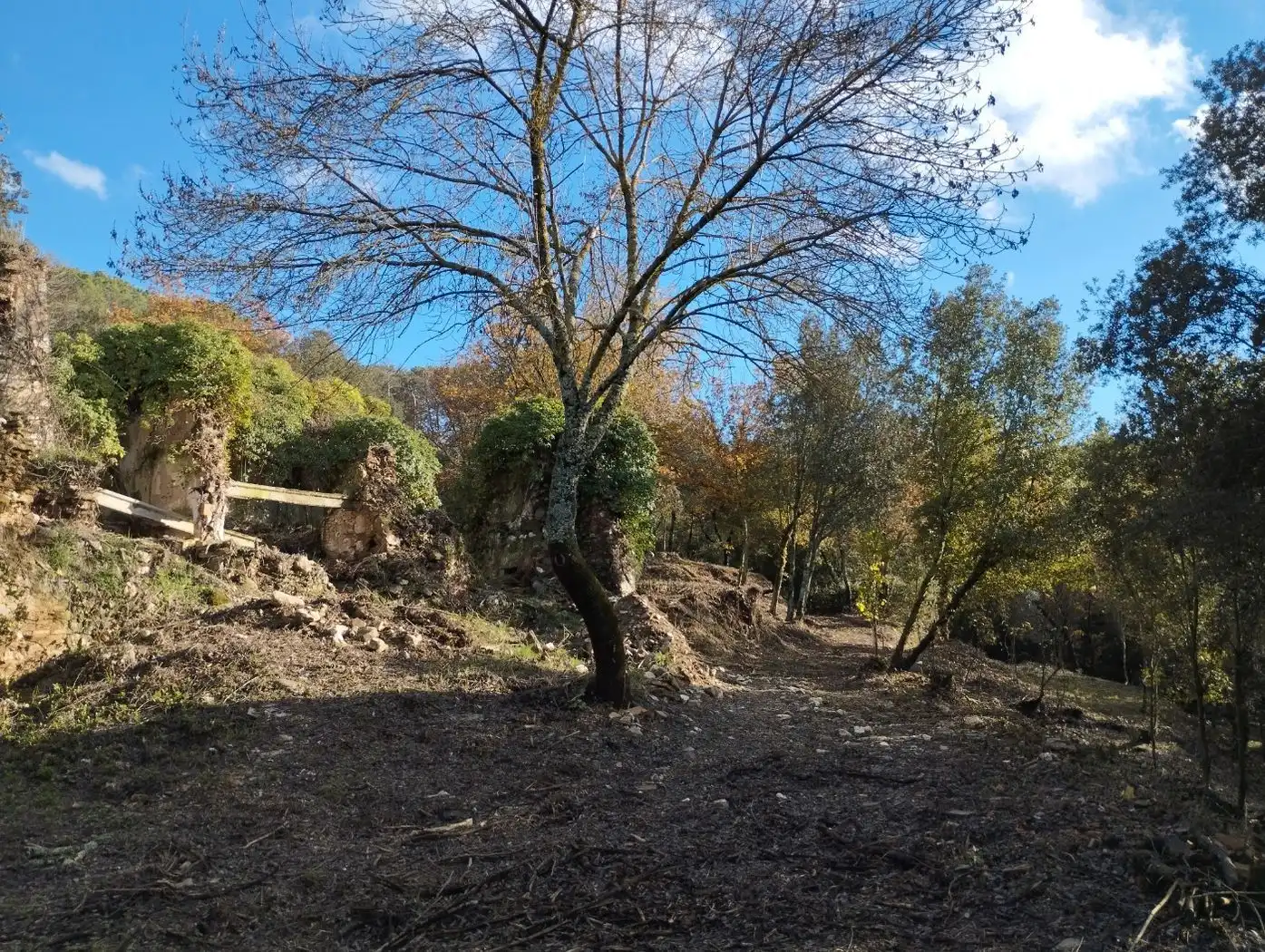 Finca rústica en venda en Quart