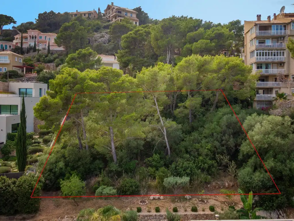 Rustikales Grundstück zum Verkauf in Pollença Poble, imagen 13