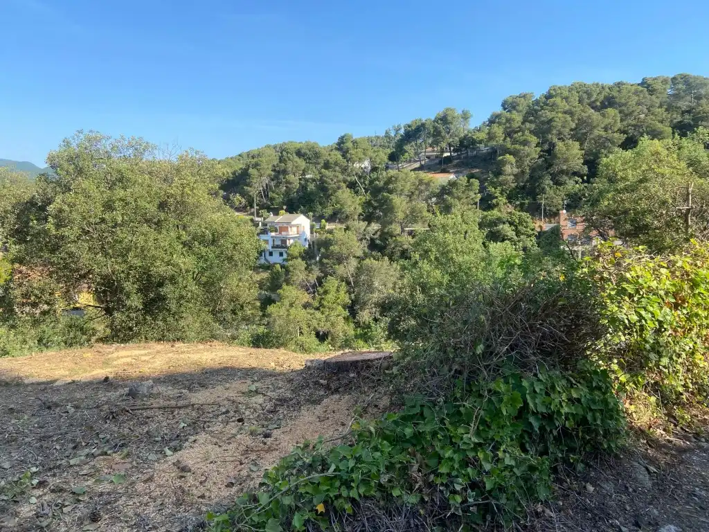 Residential land for sale in Calle Ginesta, imagen 2