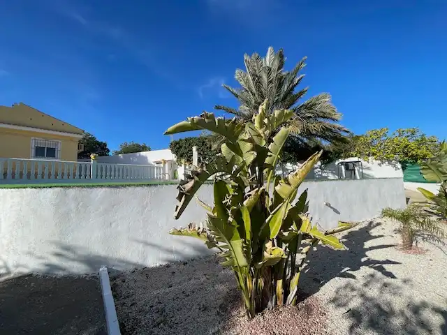 Vista exterior de Casa o xalet en venda en Alicante / Alacant amb Aire condicionat, Calefacció i Jardí privat