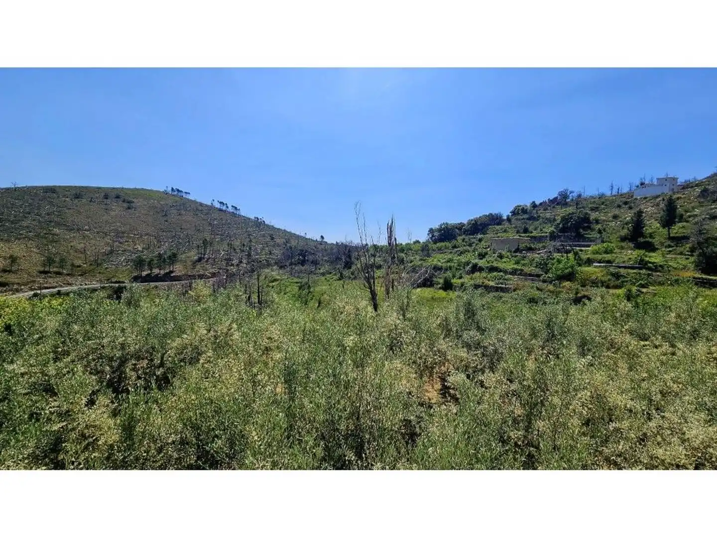 Casa rústica con terraza en venta en Bejís, imagen 5