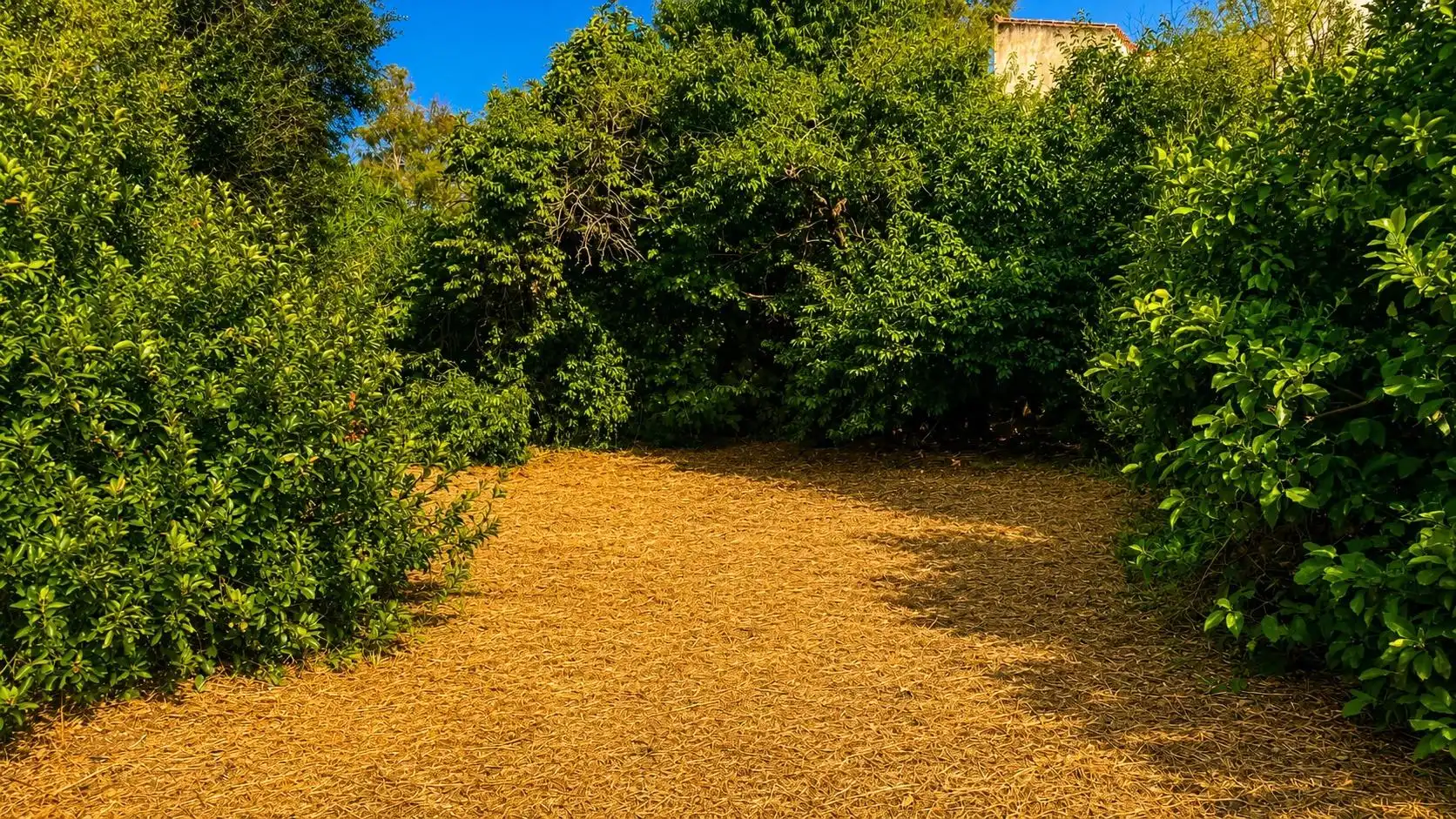 Wohnbaugrundstück zum Verkauf in La Banda - Campo de Fútbol, imagen 20