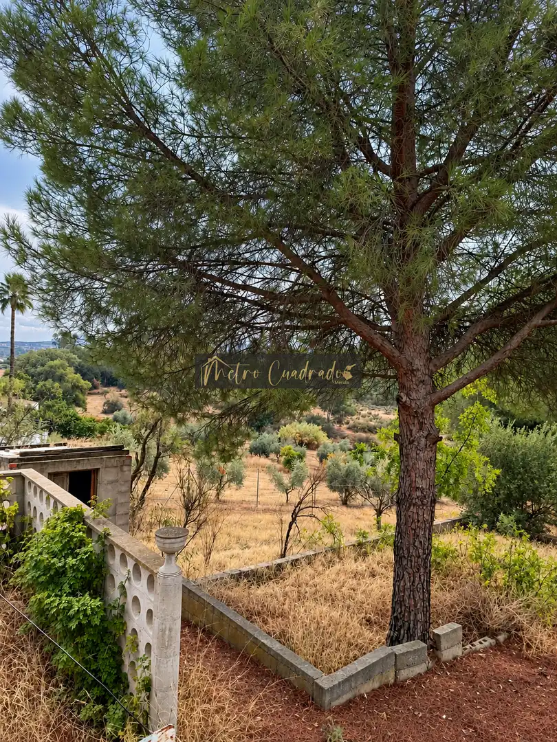Casa con balcone in vendita a Don Álvaro, imagen 20