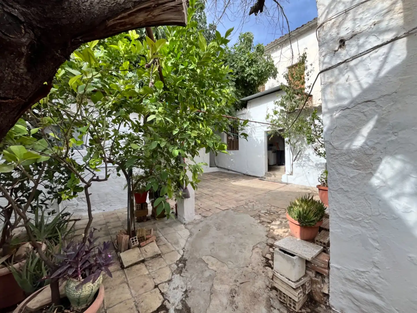 House with garden for sale in Calle Malaga 34, imagen 4