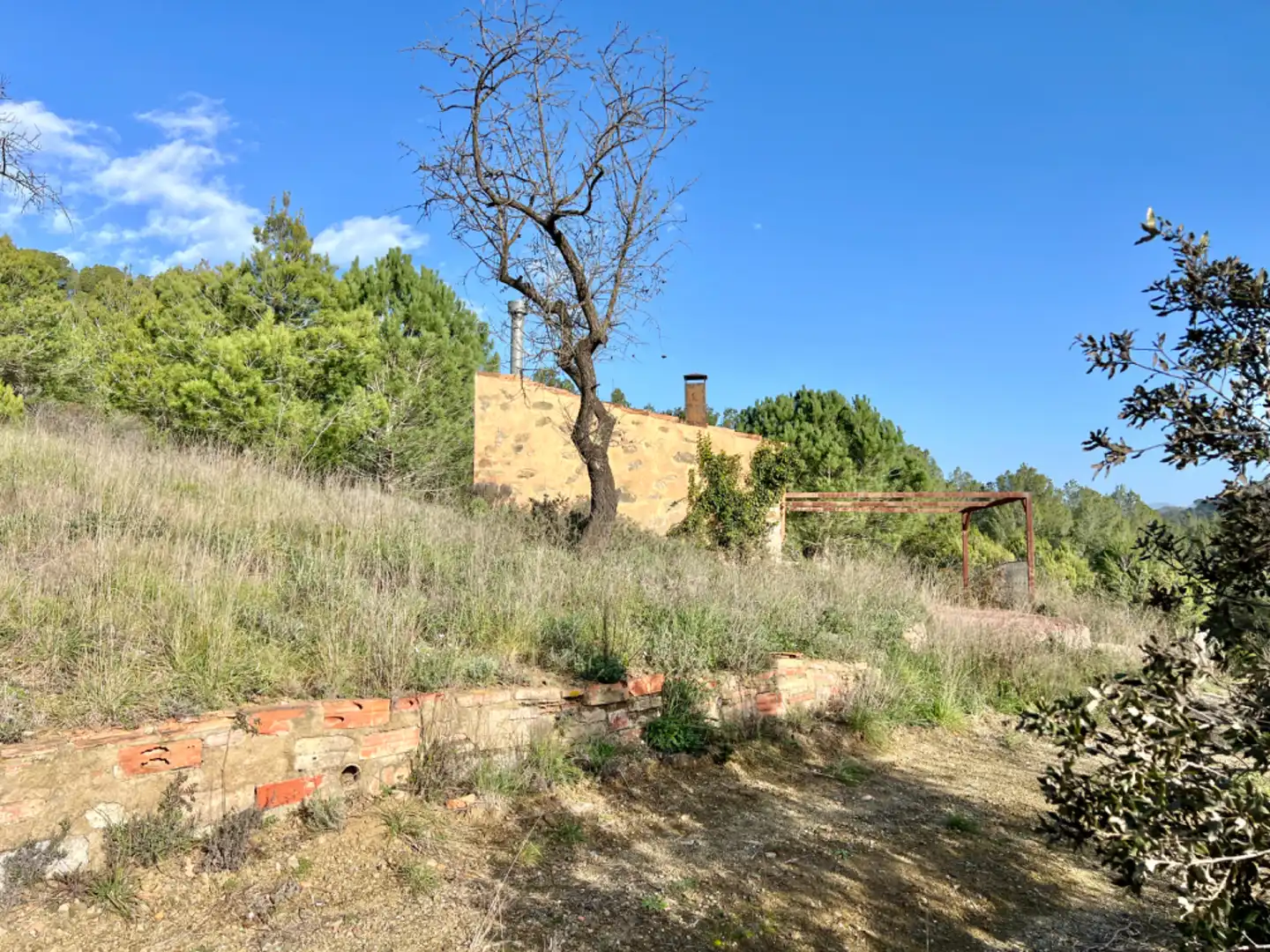 Terrain rustique à vendre à Riudecols, imagen 15