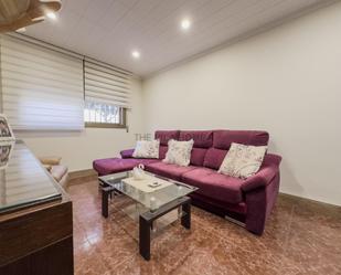 Living room of Planta baja for sale in Sant Joan Despí  with Terrace