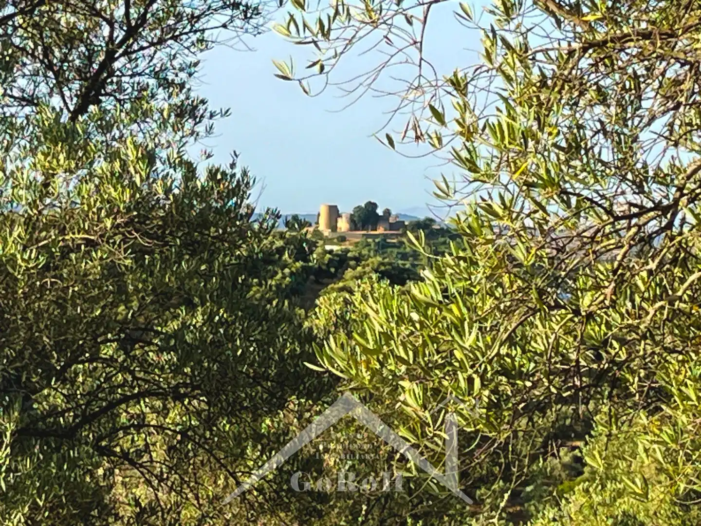 Land for sale in Constantina