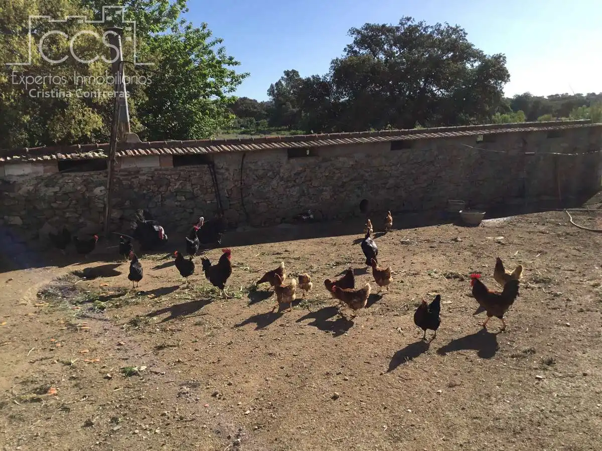 Country homes for sale in El Pedroso  with Storage room, Swimming Pool and Furnished