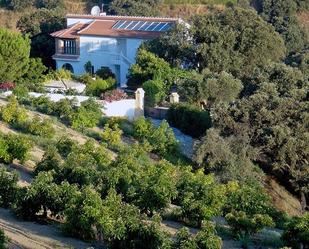 Jardí de Finca rústica en venda en Alhaurín El Grande amb Aire condicionat, Calefacció i Jardí privat