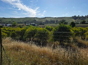 Terreno rustico in vendita a Arcos de la Frontera
