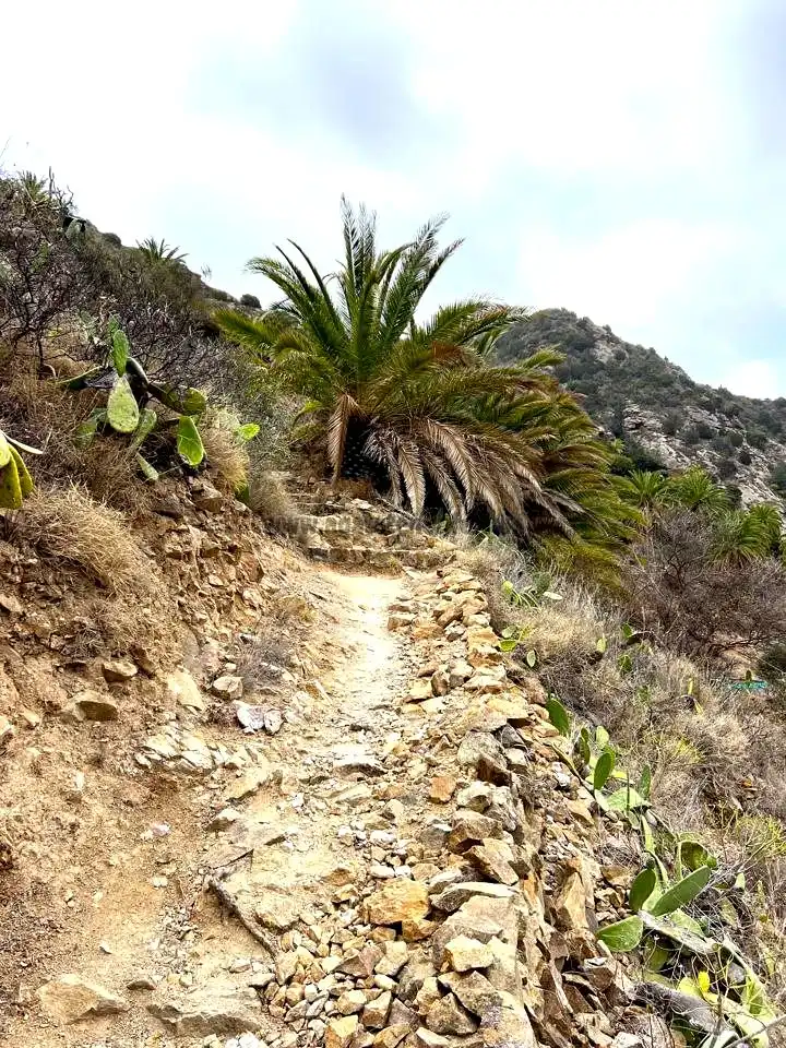 Vista exterior de Finca rústica en venta en Vallehermoso con Aire acondicionado, Calefacción y Jardín privado