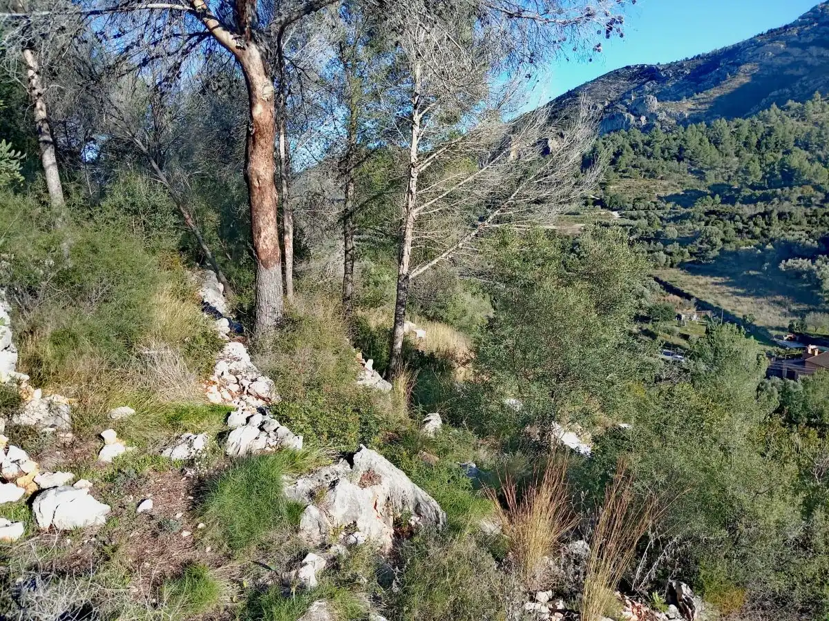 Terreny rústic en venda a Alcalalí, imagen 7