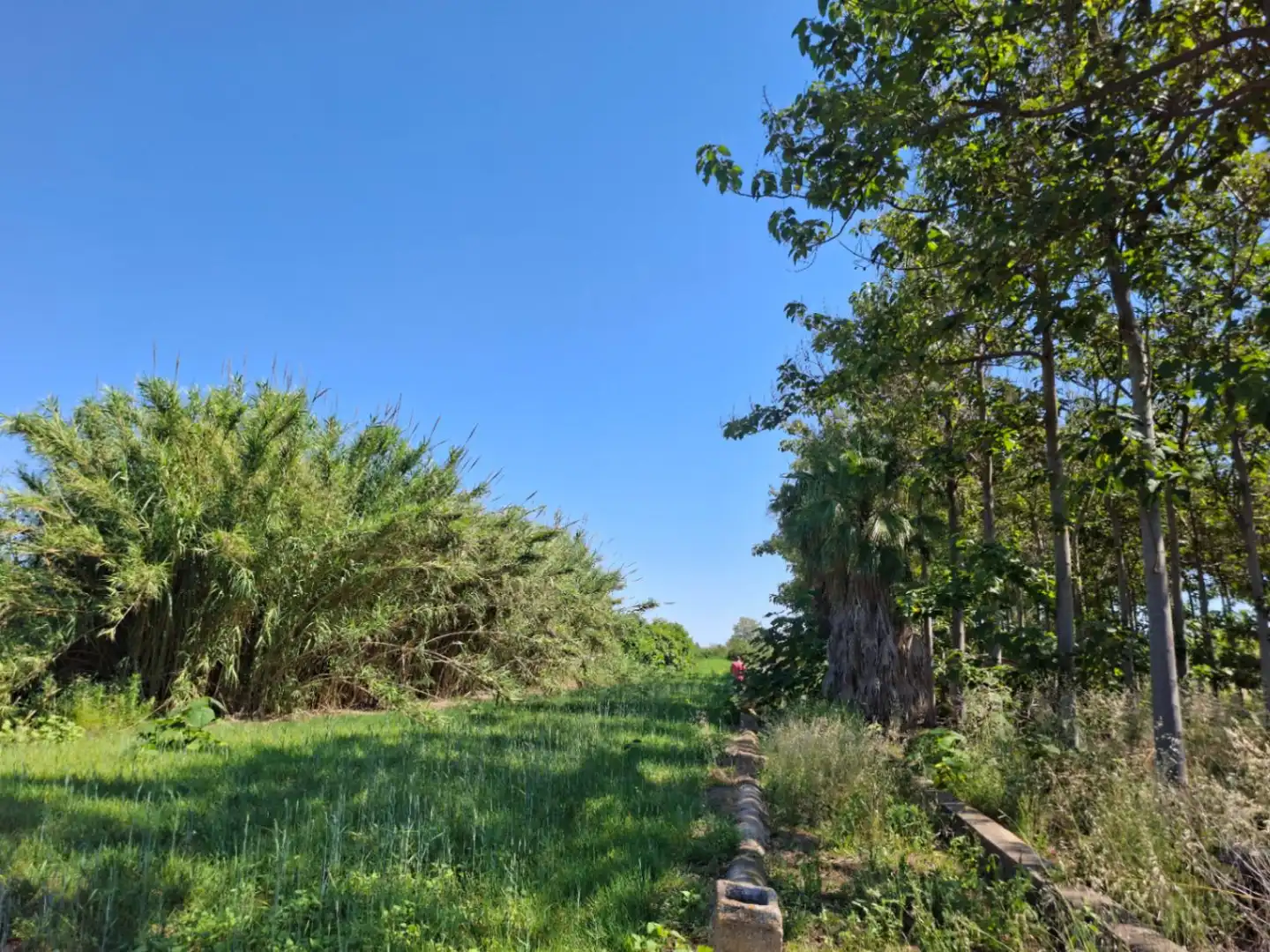 Terreny residencial en venda a Pego, imagen 2