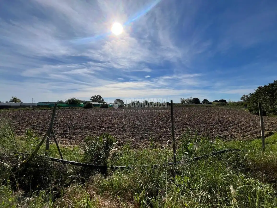 Terreno rústico en venta en Jerez norte - Montealto - Pozoalbero, imagen 12
