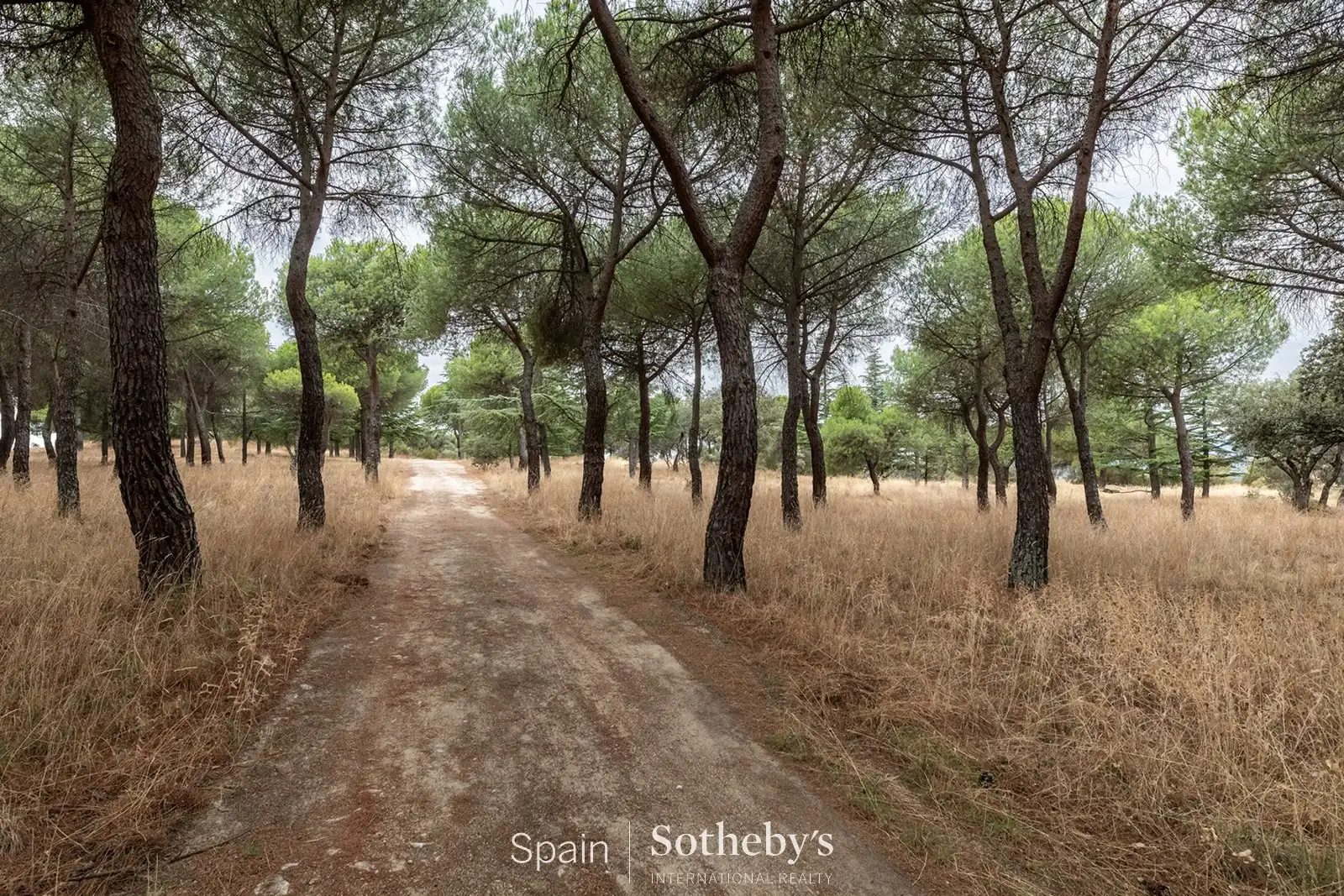 Wohnbaugrundstück zum Verkauf in Deportivo Galapagar - Los Almendros, imagen 68