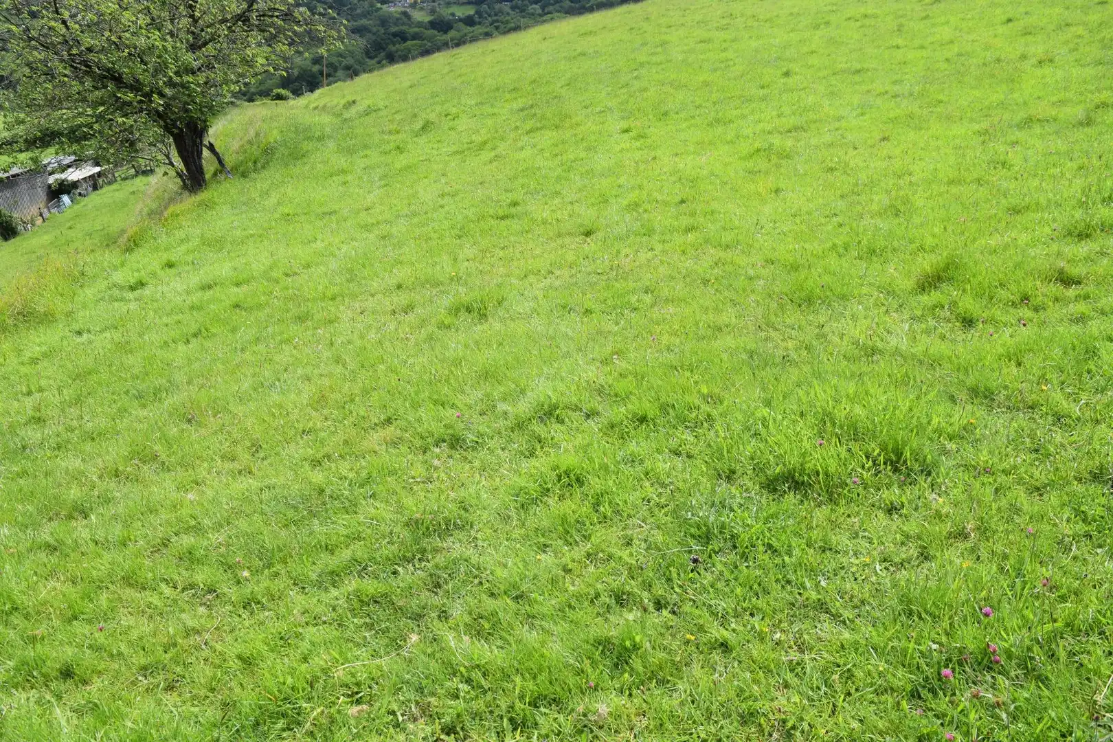 Terreno residenziale in vendita a Carretera Los Molinos 19, imagen 16