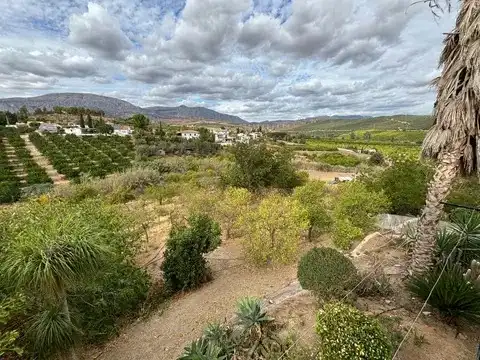 Exterior view of Country homes for sale in Álora  with Furnished