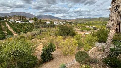 Foto 5 de Finca rústica en venda a Álora, Málaga