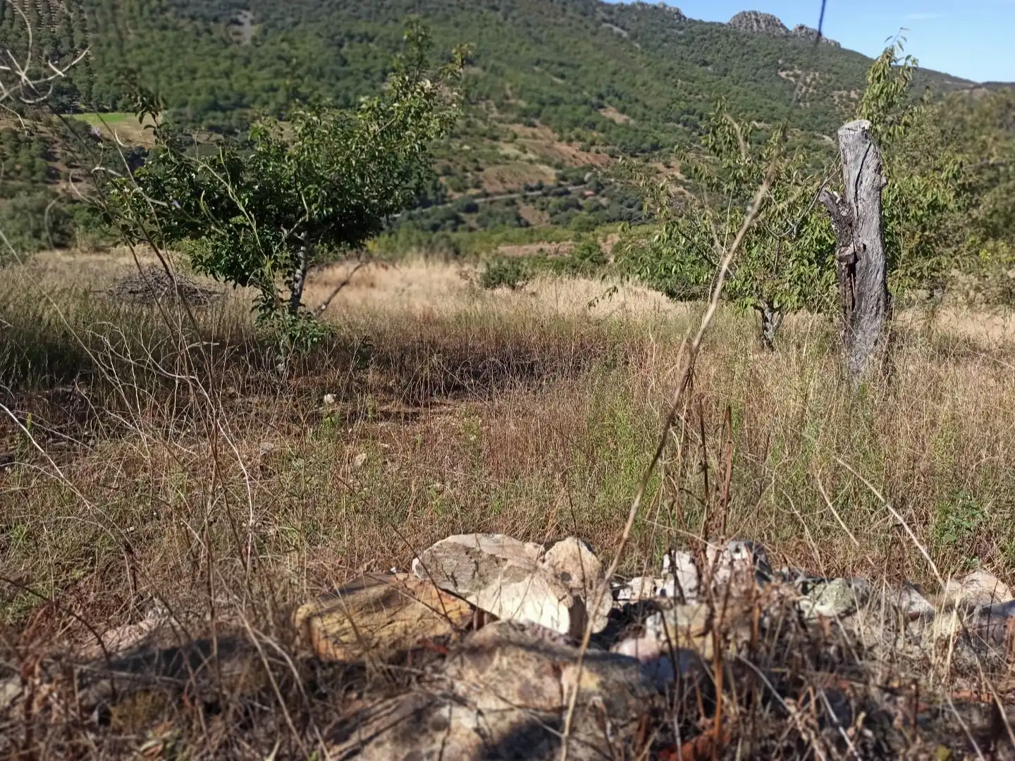 Land for sale in Navezuelas