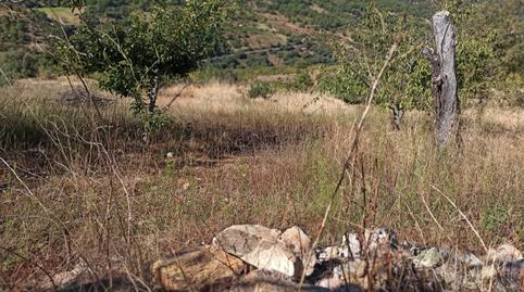 Foto 4 de Terreno en venta en Avenida de Extremadura, 149, Navezuelas, Cáceres