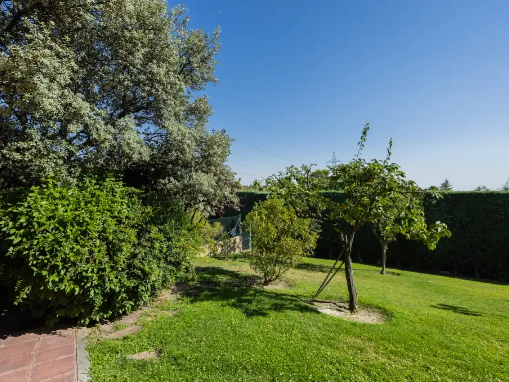 Jardín de Casa o chalet en venta en Villaviciosa de Odón