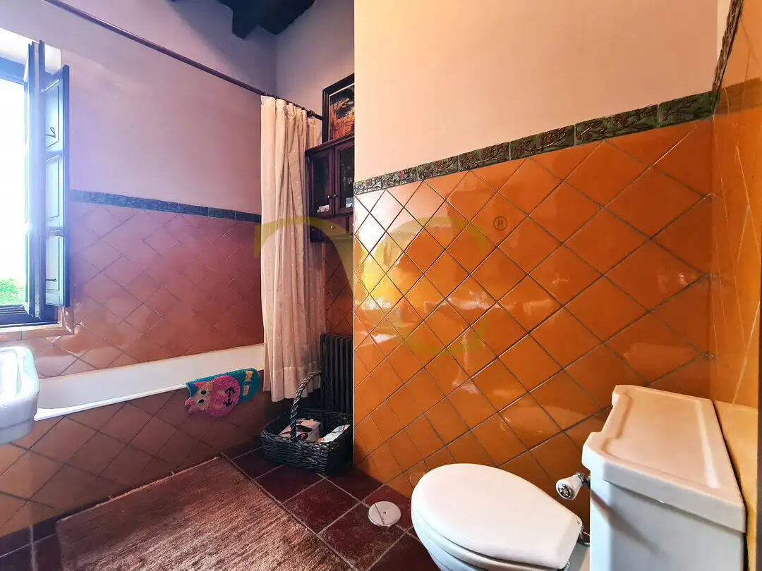 House with garden for sale in Buenavista - El Cristo, imagen 53