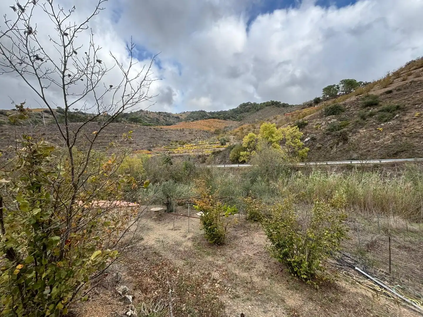 Terreno rústico en venta en Porrera, imagen 32