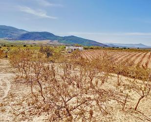 Land for sale in Laujar de Andarax