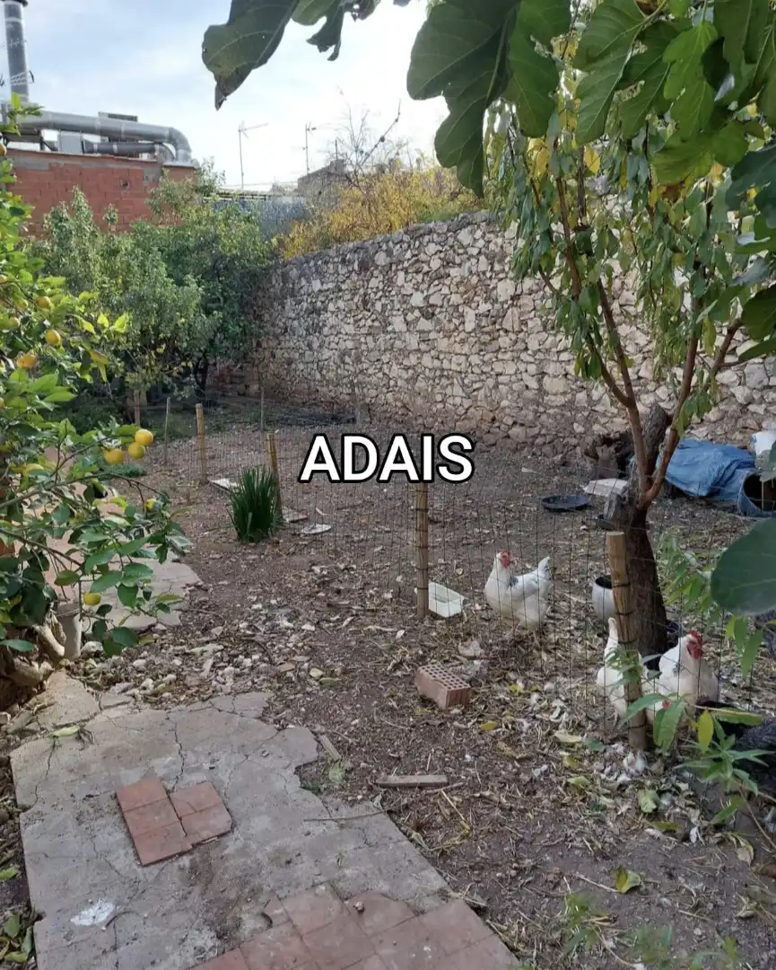 Casa amb jardí en venda a Avinguda Sant Cristòfol 1, imagen 10