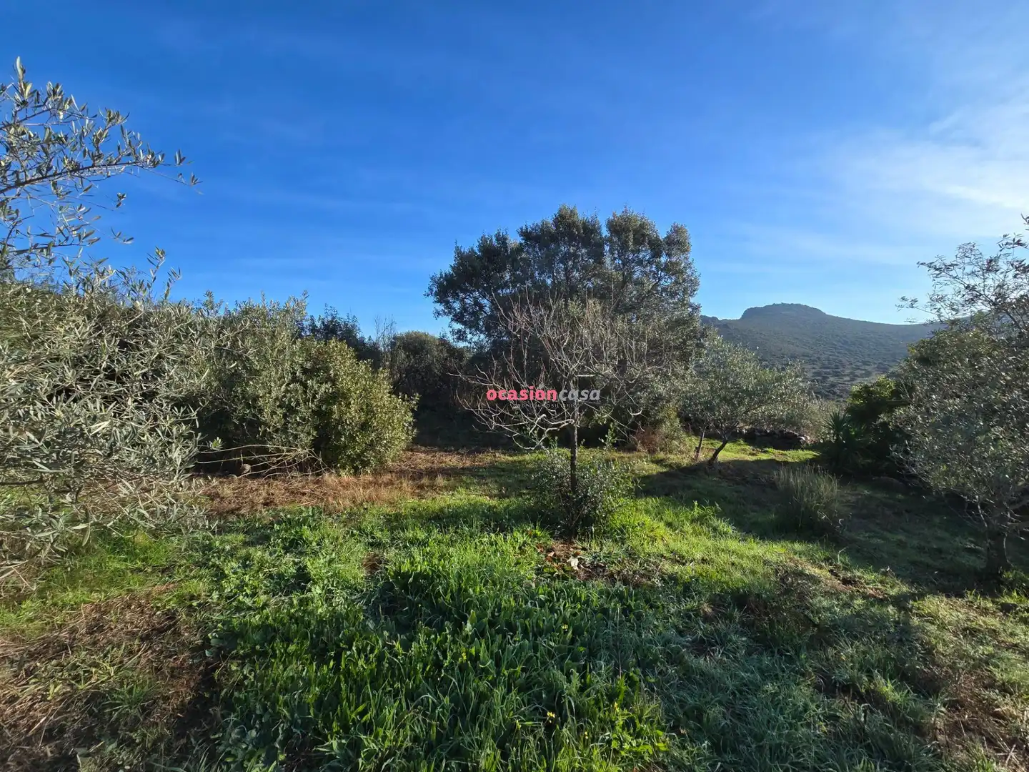 Casa o chalet en venta en Santa Eufemia