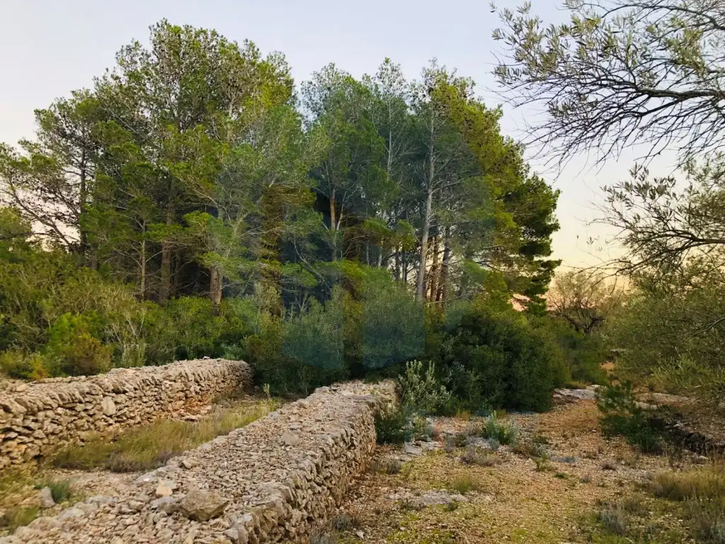 Houses for sale in N/A, Bítem