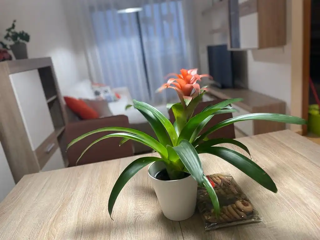 Appartement compact avec piscine à louer à Calle cantarrana 1, imagen 13