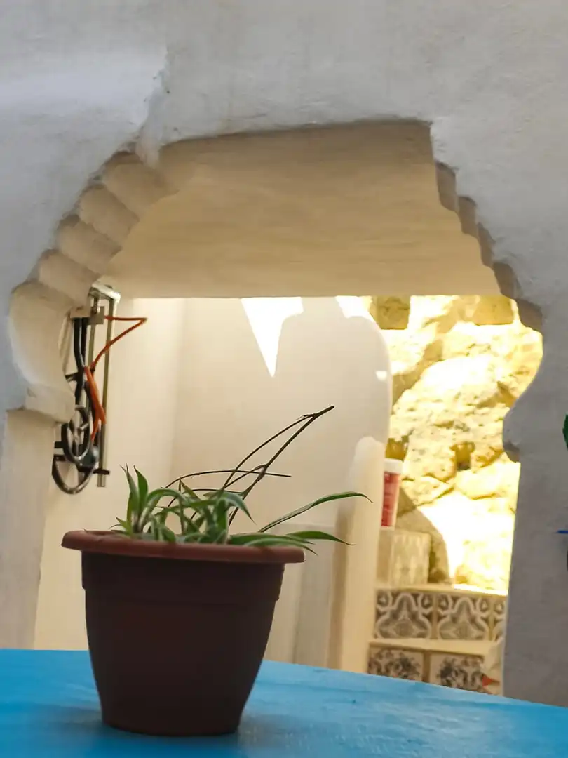 Casa adosada en venta en Sax con Jardín privado, Terraza y Trastero