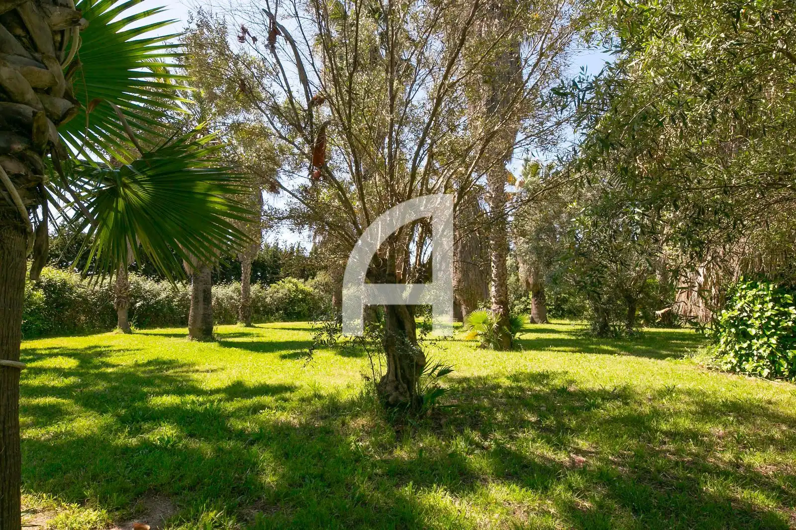 Finca rústica en venta en Sant Boi de Llobregat con Terraza y Trastero