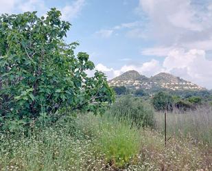 Finca rústica en venda a Lugar Albardanera, Pedreguer