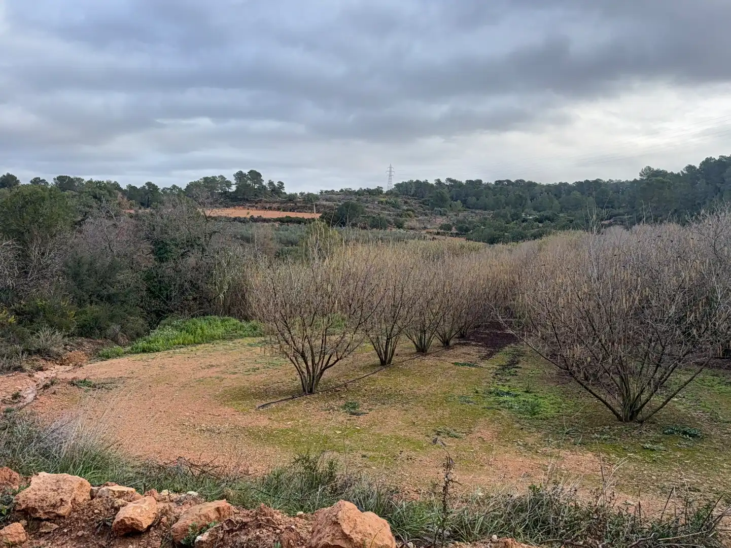 Terrain rustique à vendre à Carretera a la Maso 1G, imagen 11