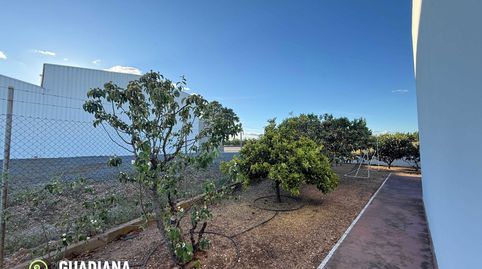 Foto 4 de Finca rústica en venta en Lepe, Huelva