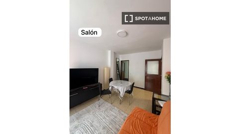 Foto 4 von Zimmer in Alcaravaneras, Las Palmas de Gran Canaria