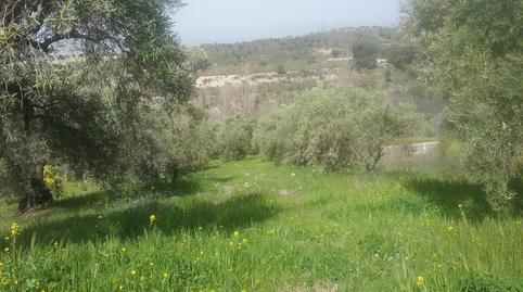 Foto 4 de Terreno en venta en La Paz,  Granada Capital