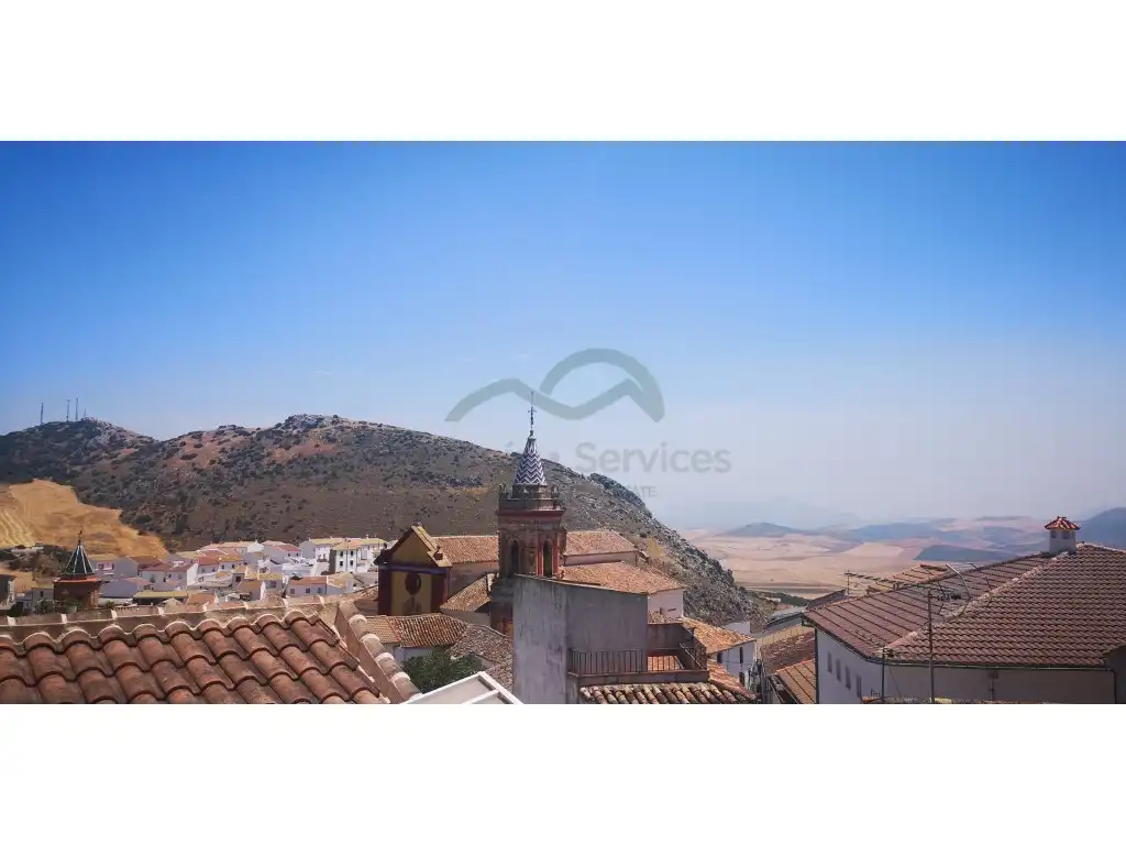 Vista exterior de Finca rústica en venta en Cañete la Real