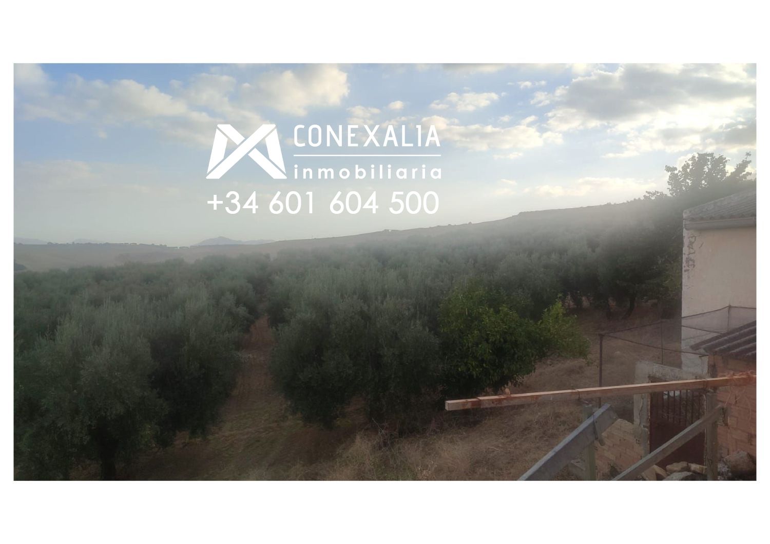 Country house zum verkauf in Setenil de las Bodegas