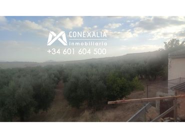 Casa rústica en venda a Setenil de las Bodegas