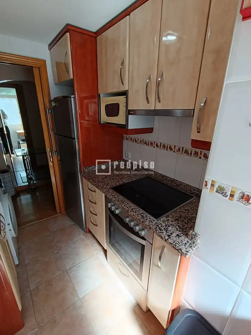 Cocina de Piso de alquiler en Madrid con Calefacción, Jardín privado y Terraza