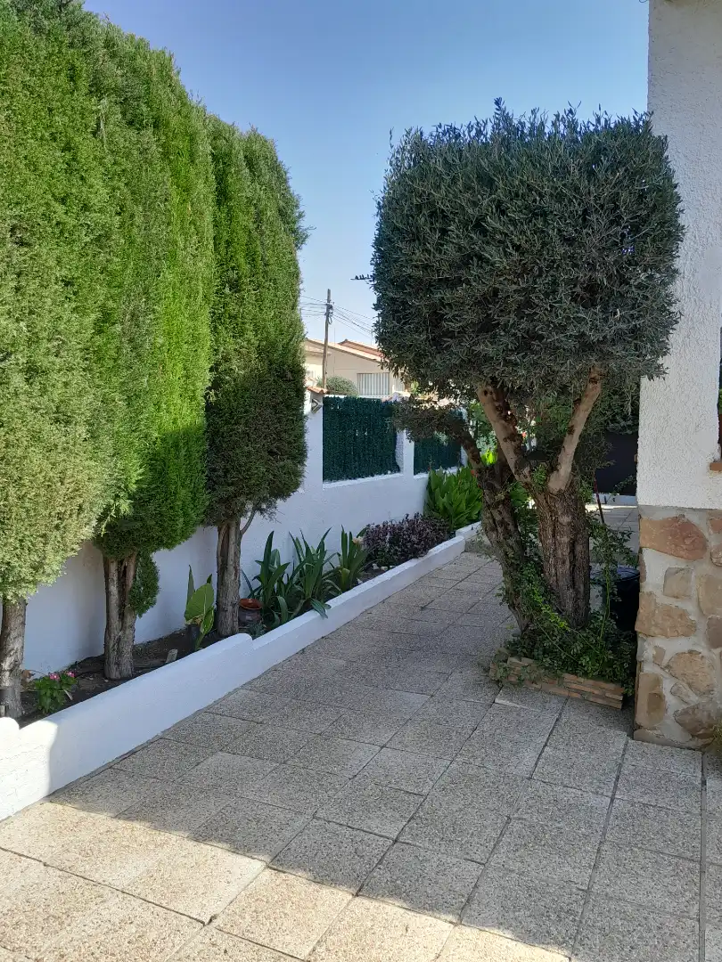 Vista exterior de Casa o chalet en venta en Cobisa con Calefacción, Jardín privado y Amueblado