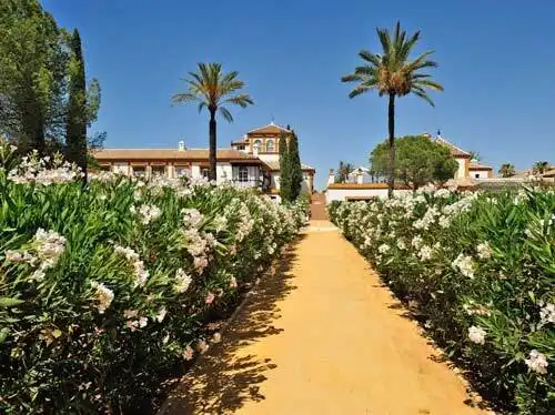 Jardín de Finca rústica en venta en Dos Hermanas