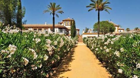 Photo 4 of Country house for sale in La Hacienda - Nueva Andalucía, Sevilla