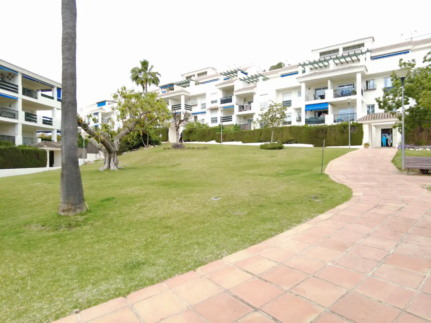 Piso en venta en Calle los Jazmines, 11, Nueva Andalucía centro